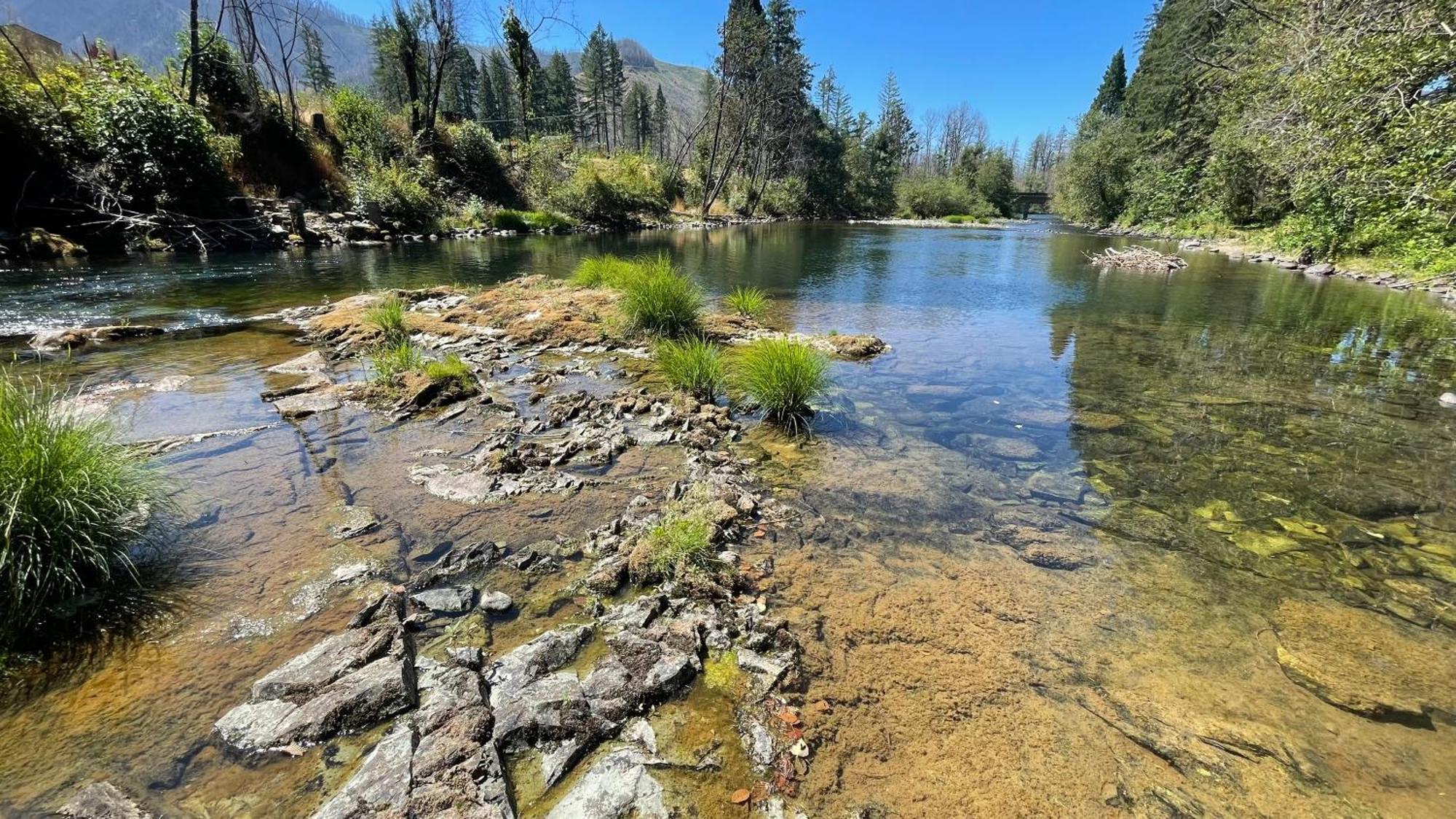 Mckenzie River Mountain Resort Blue River Екстер'єр фото