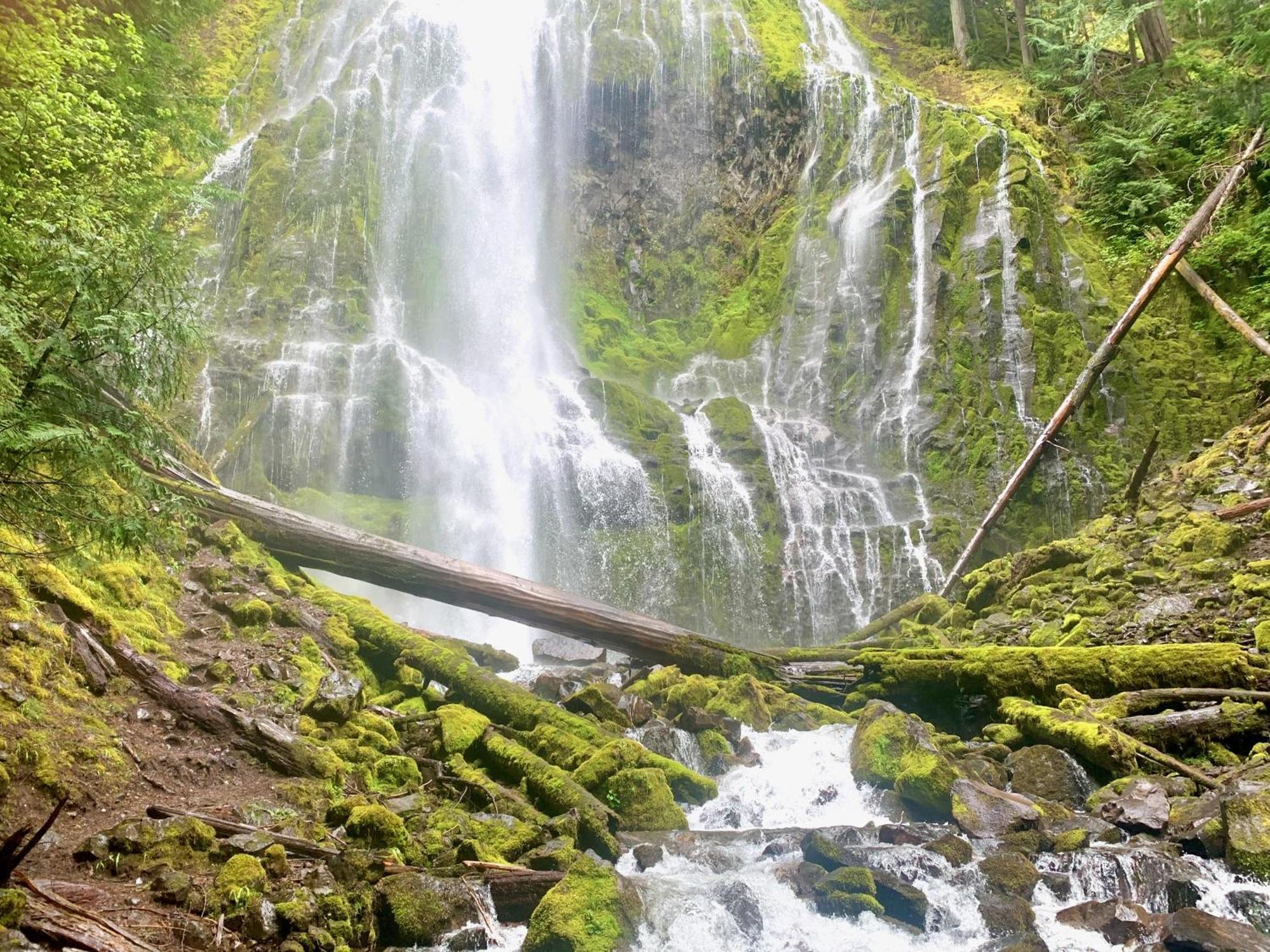 Mckenzie River Mountain Resort Blue River Екстер'єр фото