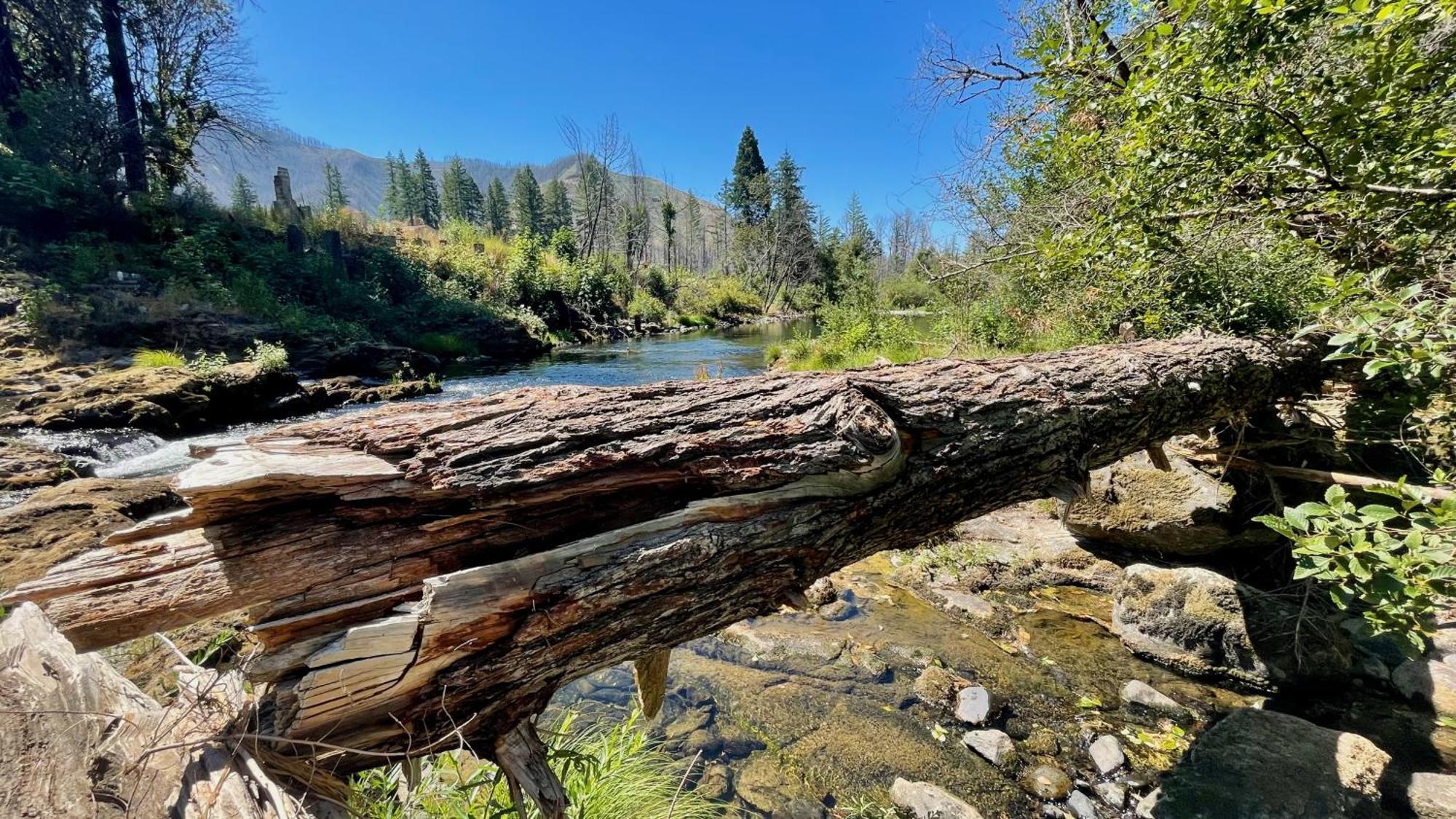 Mckenzie River Mountain Resort Blue River Екстер'єр фото